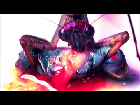 BOREAU - 400 и нещо по Фаренхайт