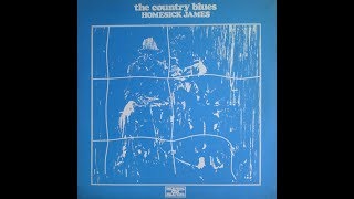 Homesick James - Go Away, Go Away Blues (1971)