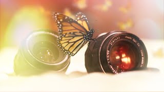 BADA.TV 바다티비