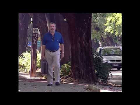 Los Simuladores - Silbidos