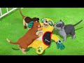 Special Agent Oso Special Alert Dotty Envelope Crunchy Doggie Treat Building Safety Pursuit