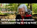 Astrid Vis (83) woonde in Dierenpark Amersfoort tussen de dieren: 'Een kinderdroom' | RTV Utrecht