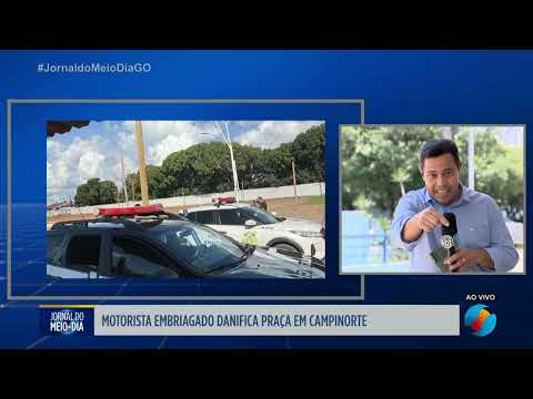 Motorista bêbado danifica praça em Campinorte Goiás