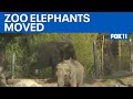 LA Zoo Confirms Fate Of Elephants Billy And Tina FOX 11 LA