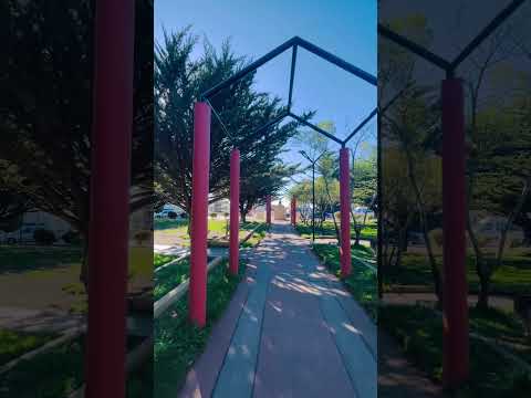 #ríogrande #tierradelfuego #argentina #travel #otoño