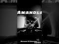 Amandla
