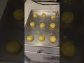 Italian Lemon Drop Cookies