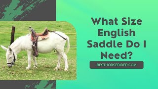 What Size English Saddle Do I Need?