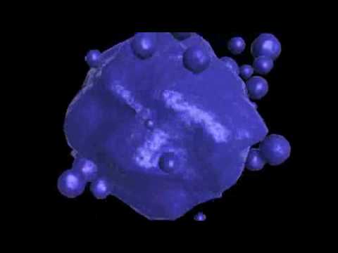 アポトーシス (Apoptosis)