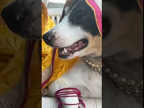 # grwm # guli Mata #duo with me