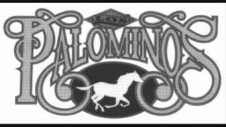Los Palominos - Nunca te olvidare.