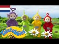 Teletubbies: Het cijfer vier | 1527 | kinder programmas | tekenfilms | animatie