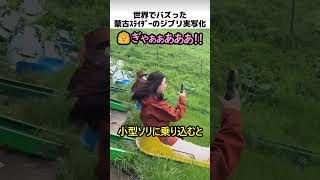 蒙古スライダーのジブリ実写化