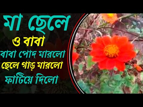 What a Lovely Flower Plan | Ad My Yeard | Natural Blog Flower Plan | Ritu Daily Blog EP-2