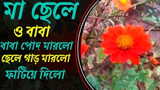 Download lagu What a Lovely Flower Plan | Ad My Yeard | Natural Blog Flower Plan | Ritu Daily Blog EP-2 mp3