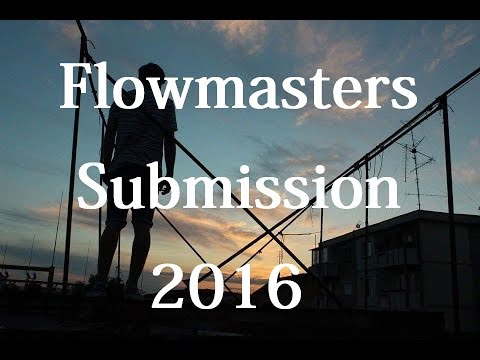 Guler Matei | Flowmasters Submission | 2016