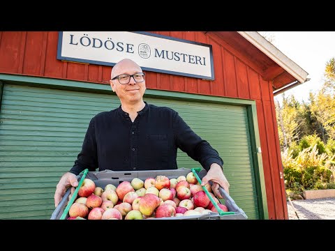 Så gör Erik äppelmust