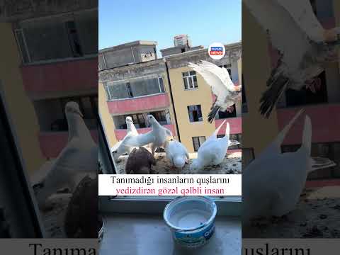 Halal olsun belə xanıma
