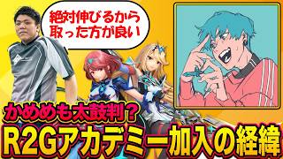 【スマブラSP】ホムヒカ単騎最強候補！？かめめも認めた“ふぁいやー”とは何者なのか【スマブラ スイッチ】