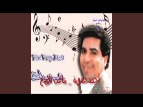 Wala Kol Mn 2al Mawal