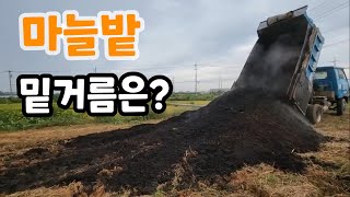 마늘 밭 밑거름 이건 꼭 넣어야