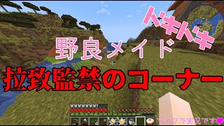 【マイクラ　ポケモンMOD】推しポケを探す旅