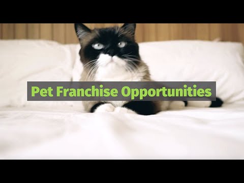 Pet Franchise Opportunities | Franchise Gator