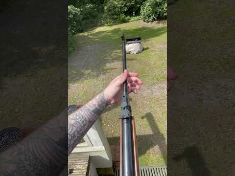 Diana 27 Airrifle POV #gun #shooting #weapon #airgun #airrifle #fun #hobby #wow #shorts