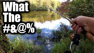 This Fishing Video is TOO Realistic! This is Why I Hate My Lake