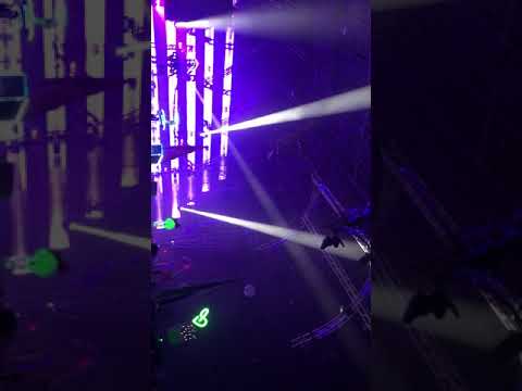 dreamstate2017-numb the pain（bryan Kearney‘s set）