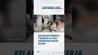 MIRIS! Kelakuan Pekerja Tiduran di Atas Hamparan Beras Bulog Tanpa Pakaian, Banjir Kritikan