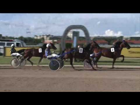 2017.06.10. 9. futam - BUTTERFLY DÍJ