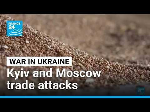 Russia-Ukraine war: Grain hub attacks raise fears over global food prices