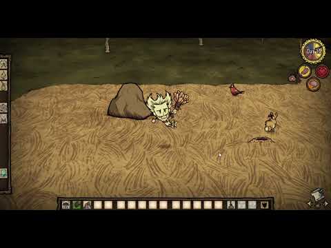 Wilson can change his beard