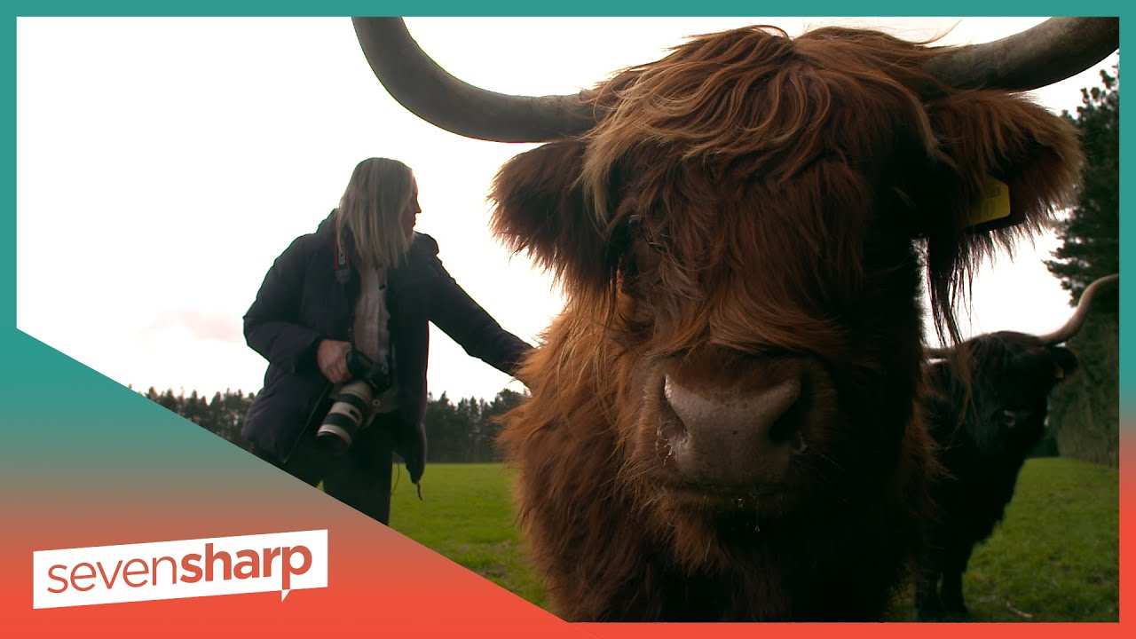 Meet the world famous artist behind the cow art in your lounge