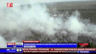 Download lagu Kebakaran Hutan di Meranti Capai 50 Hektare mp3