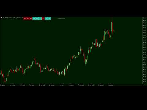 Video Meravith Scanner