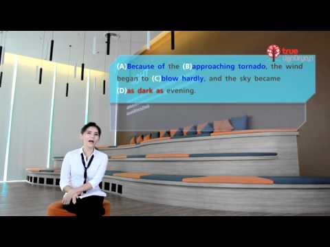 English Hits Munz 29