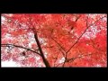 George Epyfanov (Singularity project) - Осенний ...