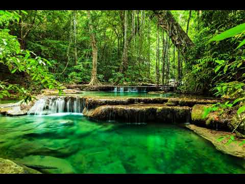 infolinia dla windykacji