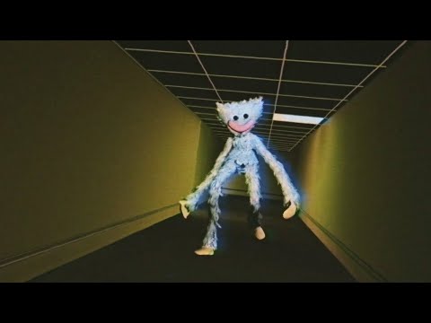 Huggy Wuggy in the Backrooms (Found Footage)