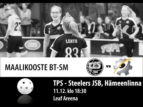 Maalikooste BTSM TPS - Steelers 11.12.2016