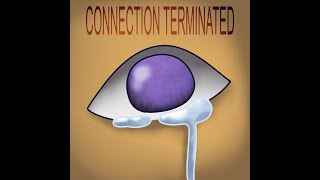Cover art for Connection Terminated