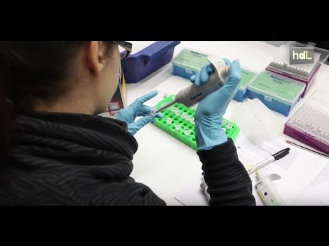 Test genéticos para conseguir medicamentos personalizados