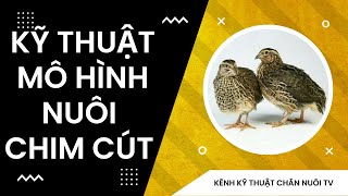 Không chỉ gương mẫu, còn giúp nhau làm kinh tế giỏi