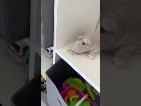 Загородный дубльдом с банным чаном и видом на лес — xl.webp