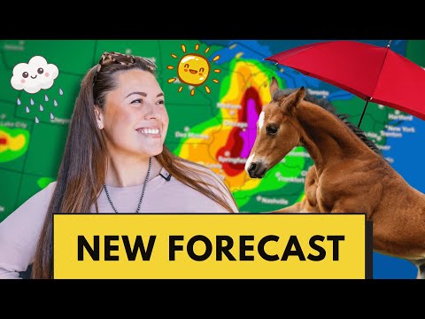 Cloudy With A Chance Of...BABIES!!