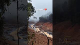 Download lagu save waynad but ✅ that photo frame person is safe #shorts #wayanad #wayanadlandslide #trending mp3