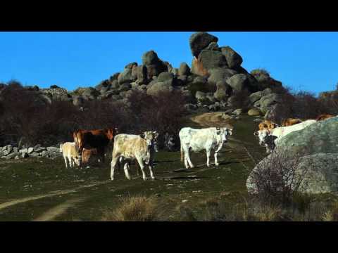 D 161 Gallegos Altamiros   Bularros Gallegos Altamiros