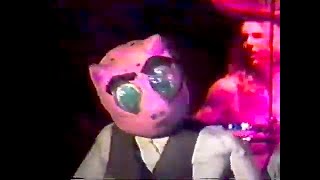 Green Jello - Three Little Pigs (Live)